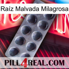 Raíz Malvada Milagrosa 30